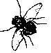 C.JPG - 2,413BYTES