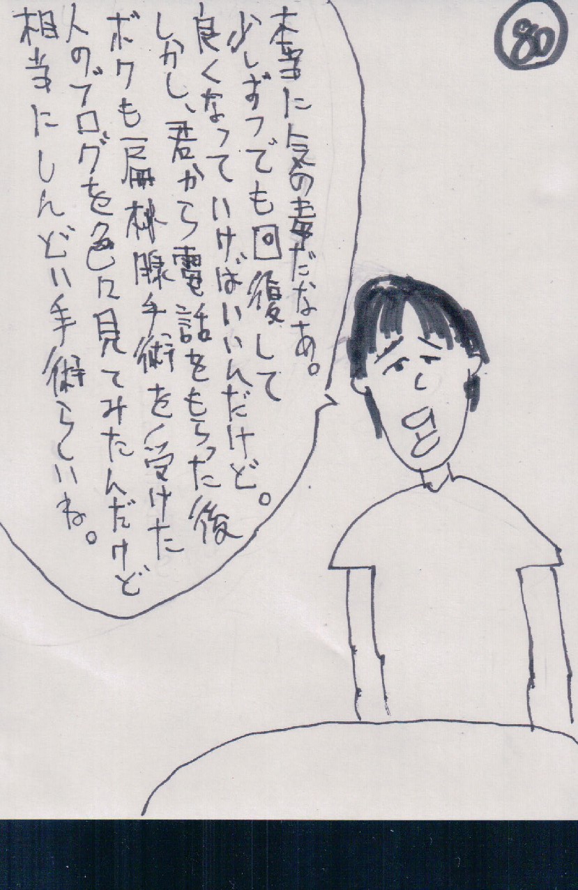 P80.JPG - 228,267BYTES